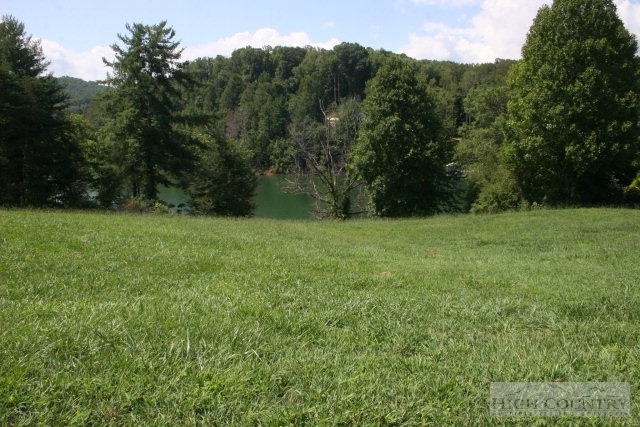 Harbour Point Drive Butler, TN 37640 - Photo 8 of 12 a view of grassy field with mountain in the background