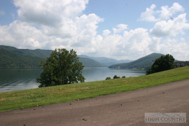 Harbour Point Drive Butler, TN 37640 - Photo 10 of 12 a view of a pathway both side of grassy field with shrub