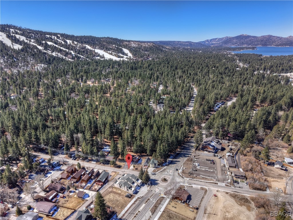 42533 Moonridge Road, Unit 4 Big Bear Lake, CA 92315 - Photo 2 of 37 a view of a city with lush green forest