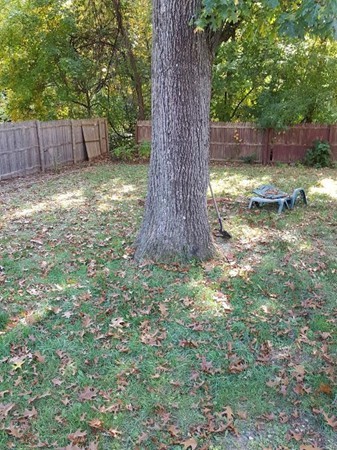 13 Plum Street Springfield, MA 01109 - Photo 4 of 17 a view of a backyard with a tree and wooden fence