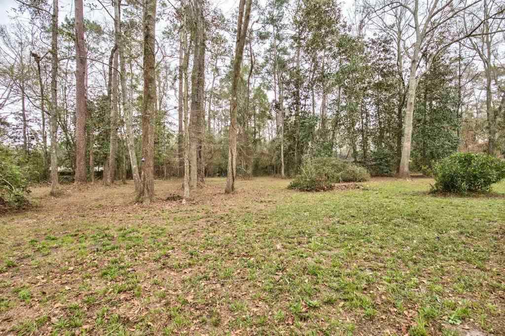 232 Timber Run Havana, FL 32333 - Photo 21 of 27 Gallery Image 21