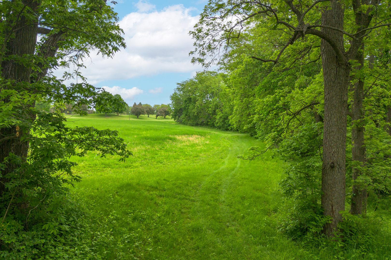 698 North 2853rd Road LaSalle, IL 61301 - Photo 30 of 39 a view of a lush green space