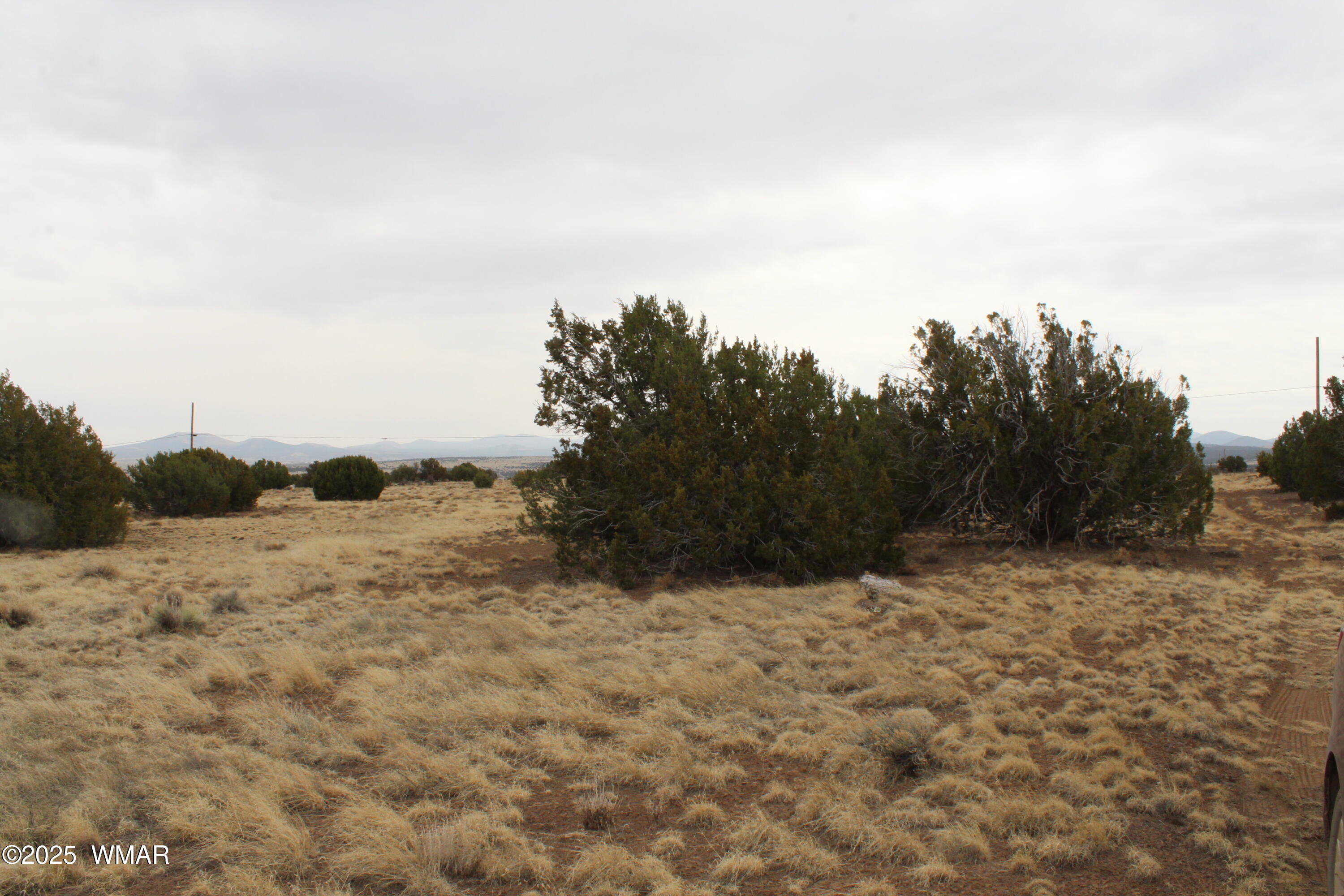 21 County Road Concho, AZ 85924 - Photo 20 of 22 a view of mountain covered with snow