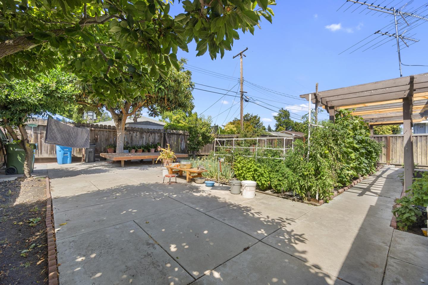 1958 Jackson Street Santa Clara, CA 95050 - Photo 20 of 22 a view of a street with potted plants and large trees
