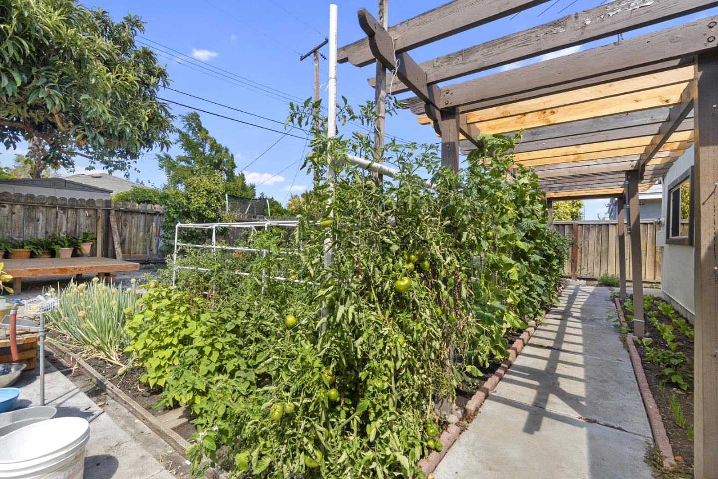 1958 Jackson Street Santa Clara, CA 95050 - Photo 21 of 22