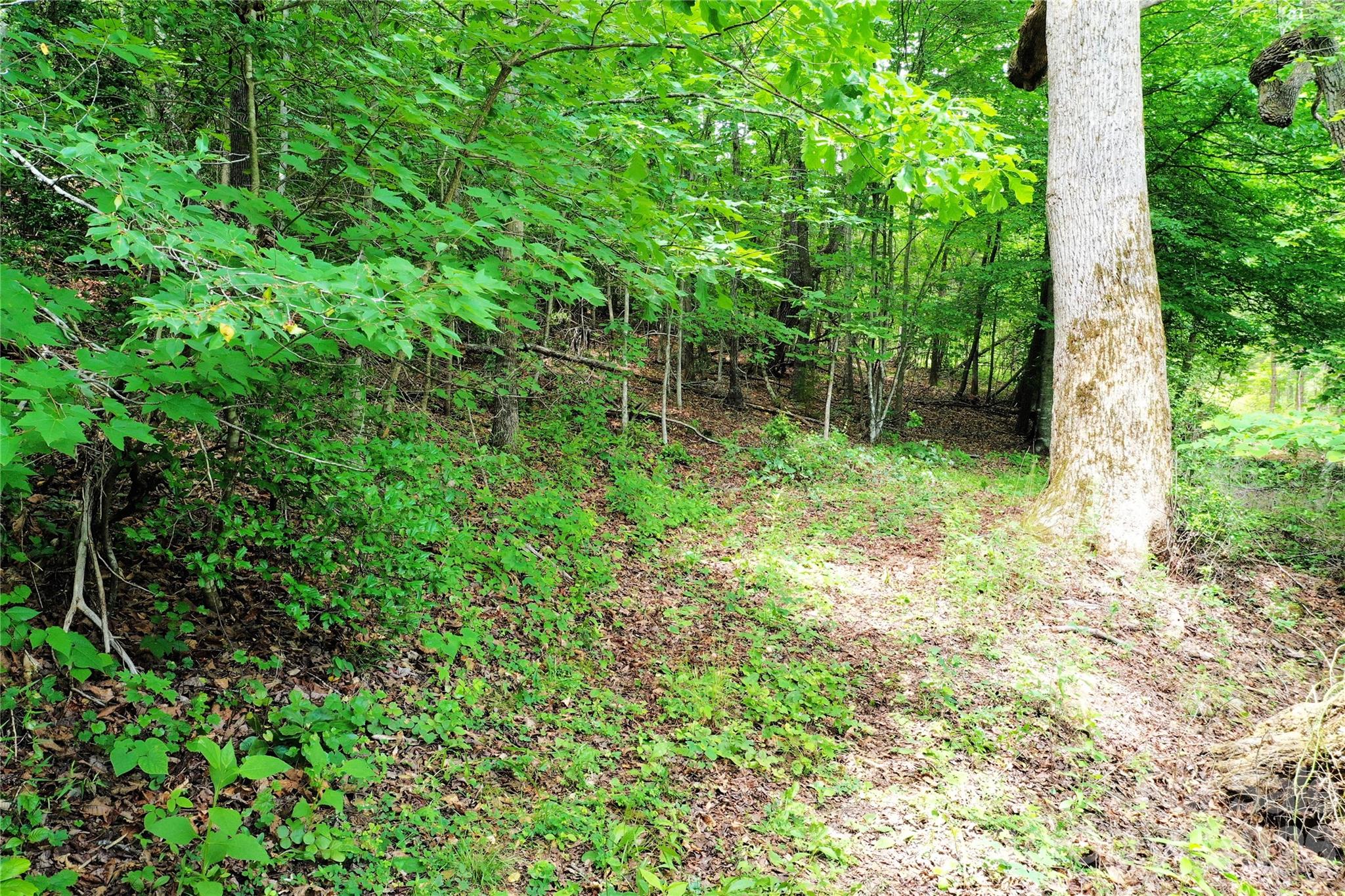 0 Herman Wilson Road Lake Lure, NC 28746 - Photo 18 of 22