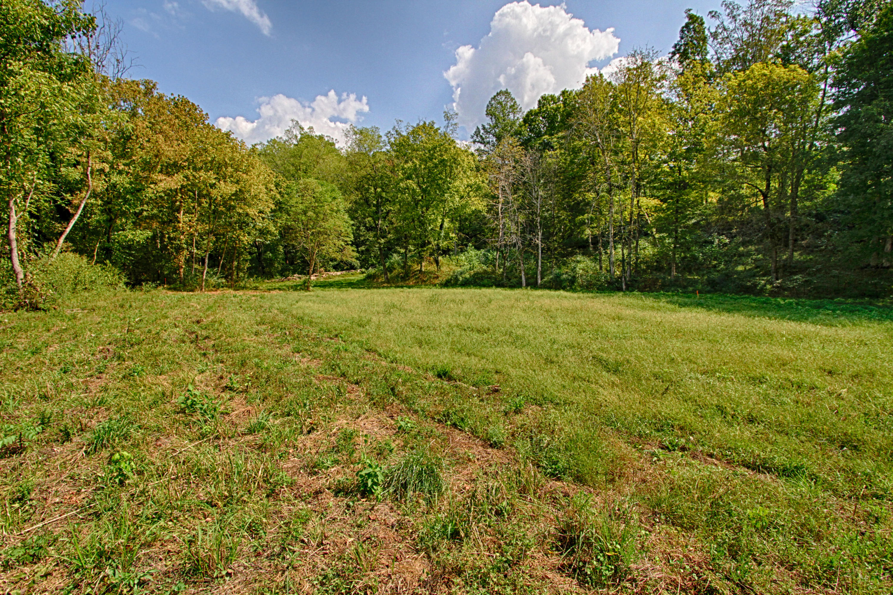 West Wolf Valley Road Clinton, TN 37716 - Photo 5 of 6 IMG_0431_HDR