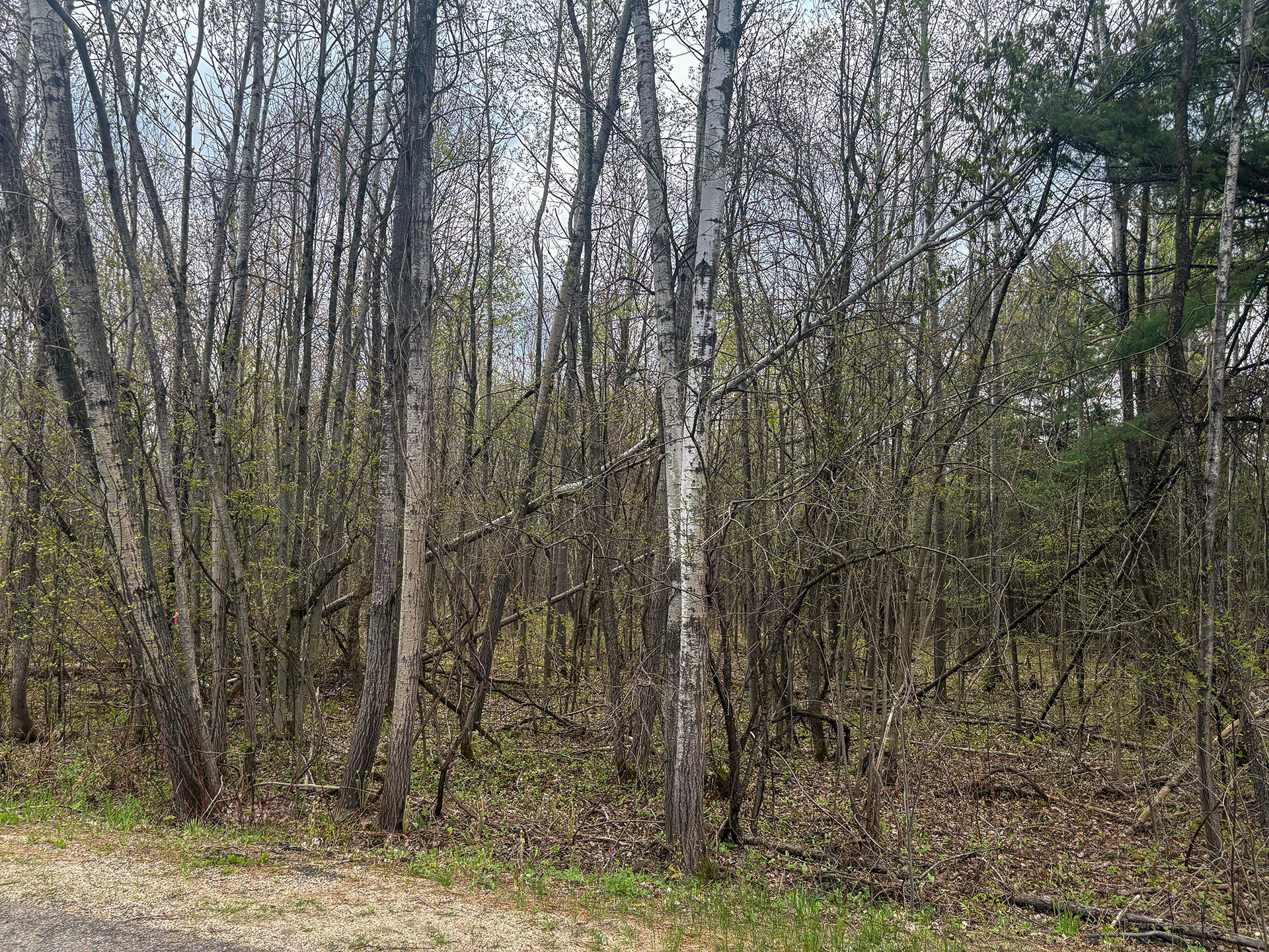 0 Callahan Road Burke, NY 12917 - Photo 9 of 14