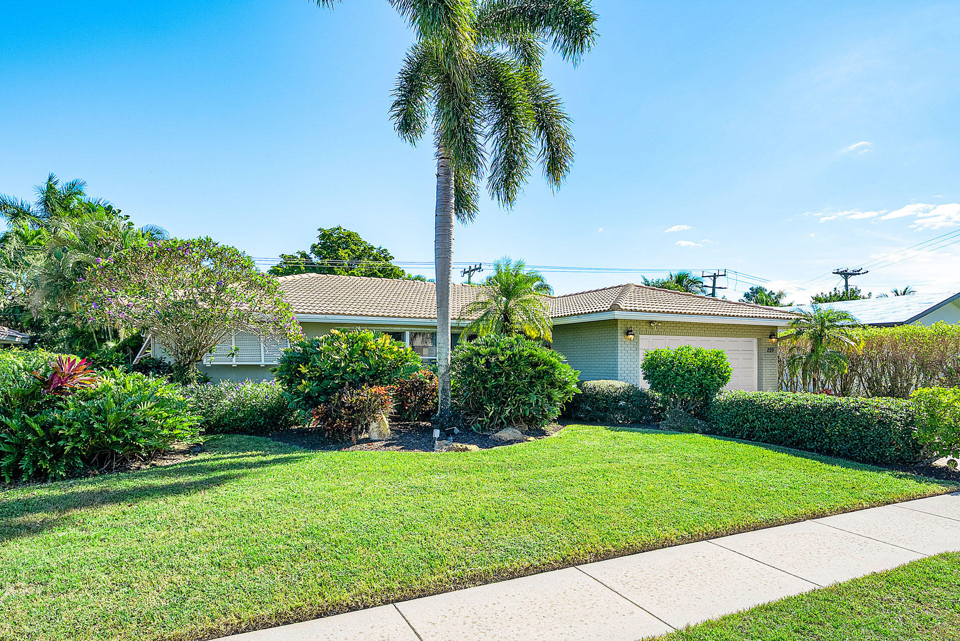 220 Southwest 9th Avenue Boca Raton, FL 33486 - Photo 4 of 42 a view of a garden with a palm plants