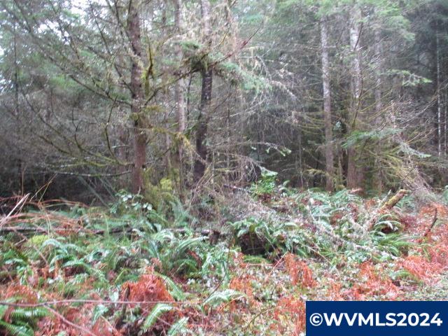 0 Zurfluh Road Scio, OR 97374 - Photo 13 of 14
