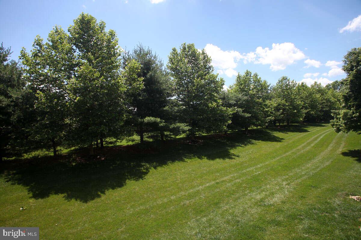 4028 Redbud Circle Doylestown, PA 18902 - Photo 18 of 20