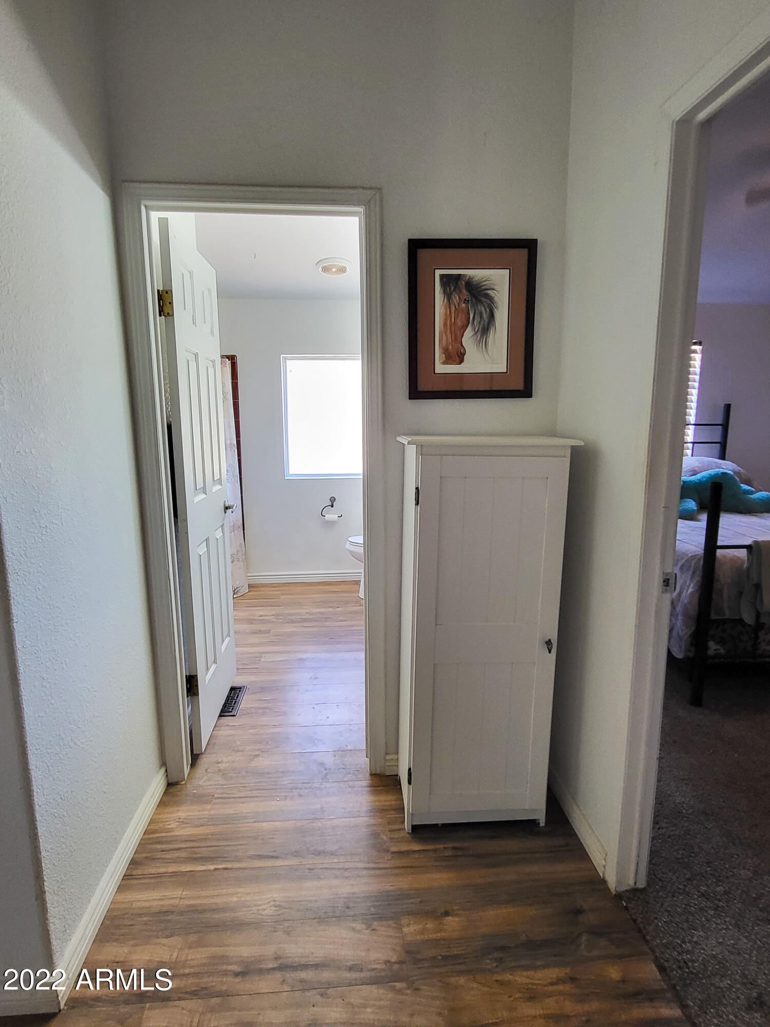 27550 North Cooper Road Florence, AZ 85132 - Photo 16 of 48 hallway to bath