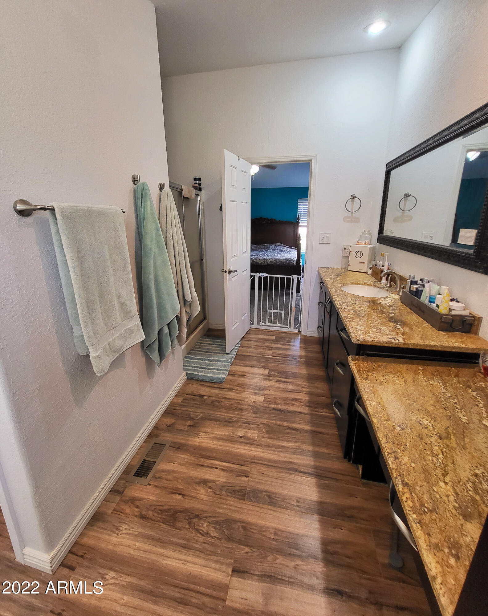 27550 North Cooper Road Florence, AZ 85132 - Photo 22 of 48 Master bath