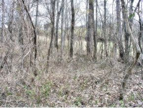 2 Coal Chute Road Elizabethton, TN 37643 - Photo 3 of 15 Photo 3