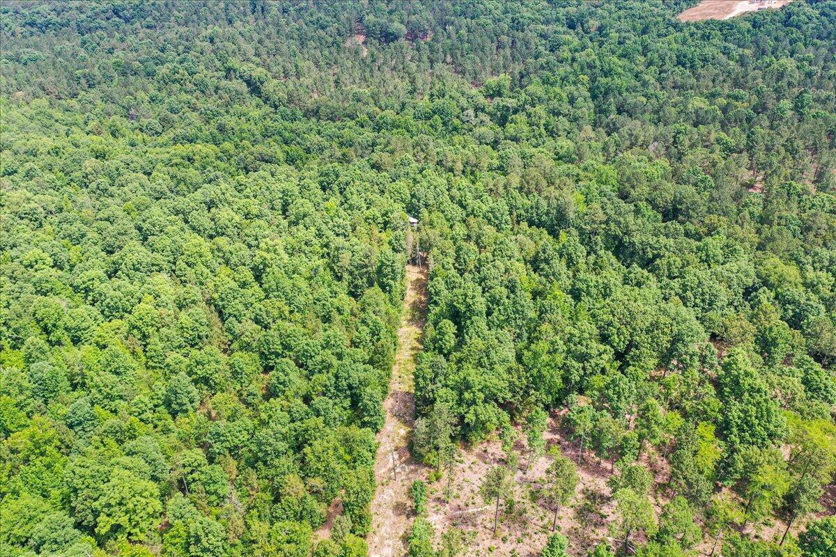 82 Sprouse Road Clarks Hill, SC 29821 - Photo 1 of 21 01-new82 Sprouse Road-01