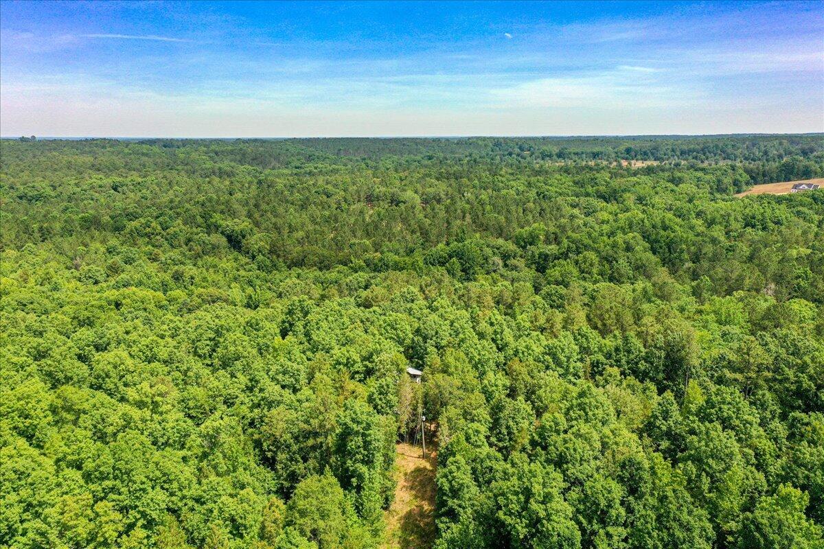 82 Sprouse Road Clarks Hill, SC 29821 - Photo 2 of 21 Main pic