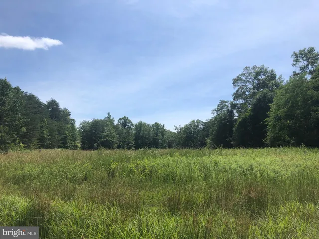 a view of a field of grass and trees