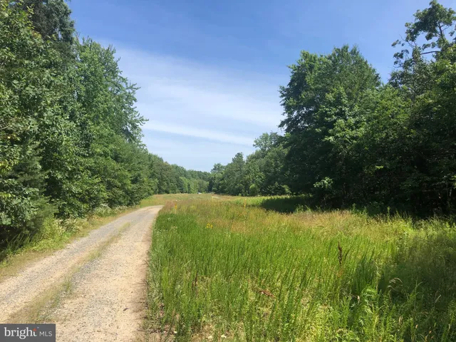 a view of a lake view with a yard