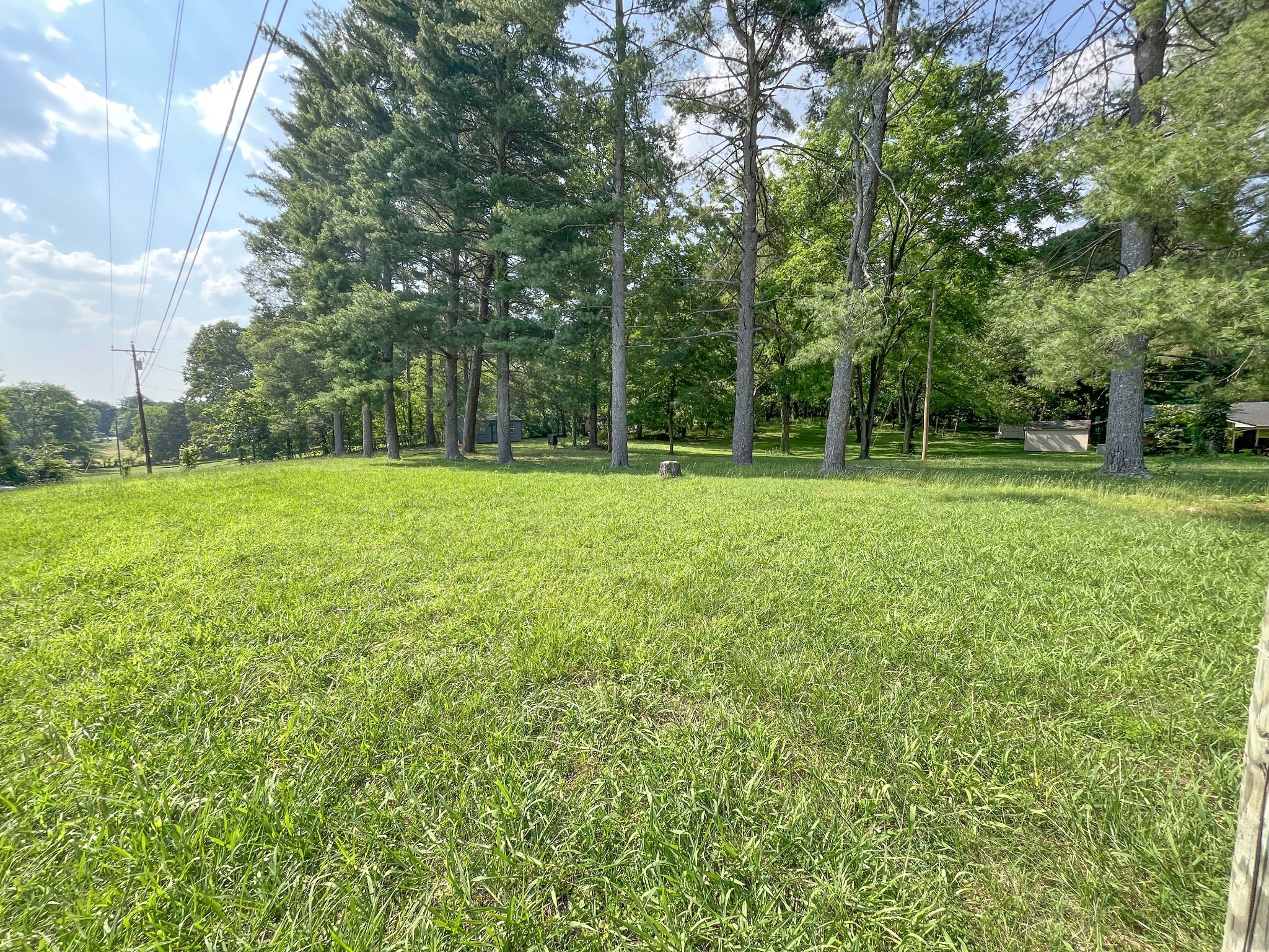 986 Alford Road Murfreesboro, TN 37129 - Photo 1 of 3 a view of a big yard with a trees