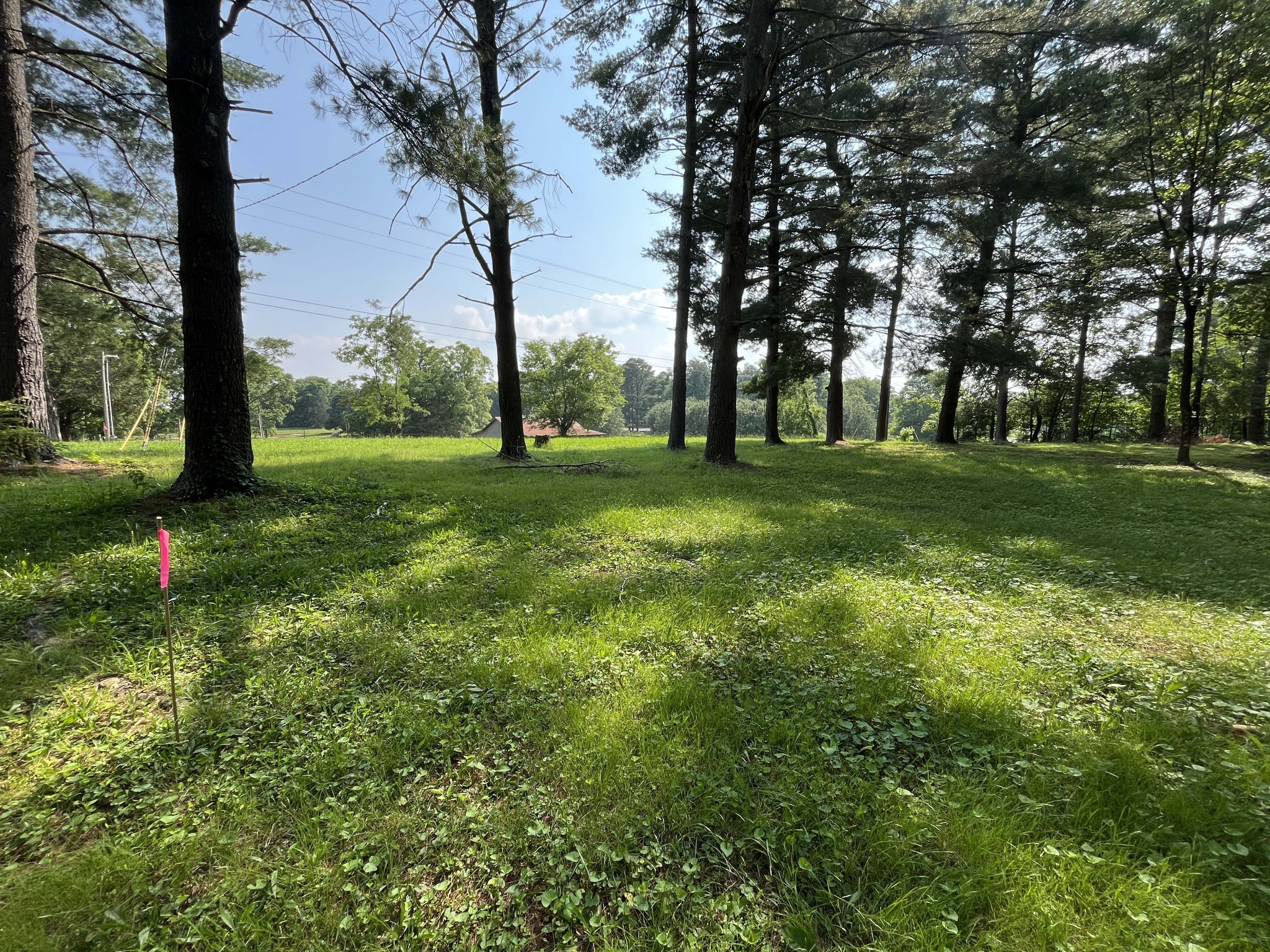 986 Alford Road Murfreesboro, TN 37129 - Photo 3 of 3 a view of a big yard with large trees
