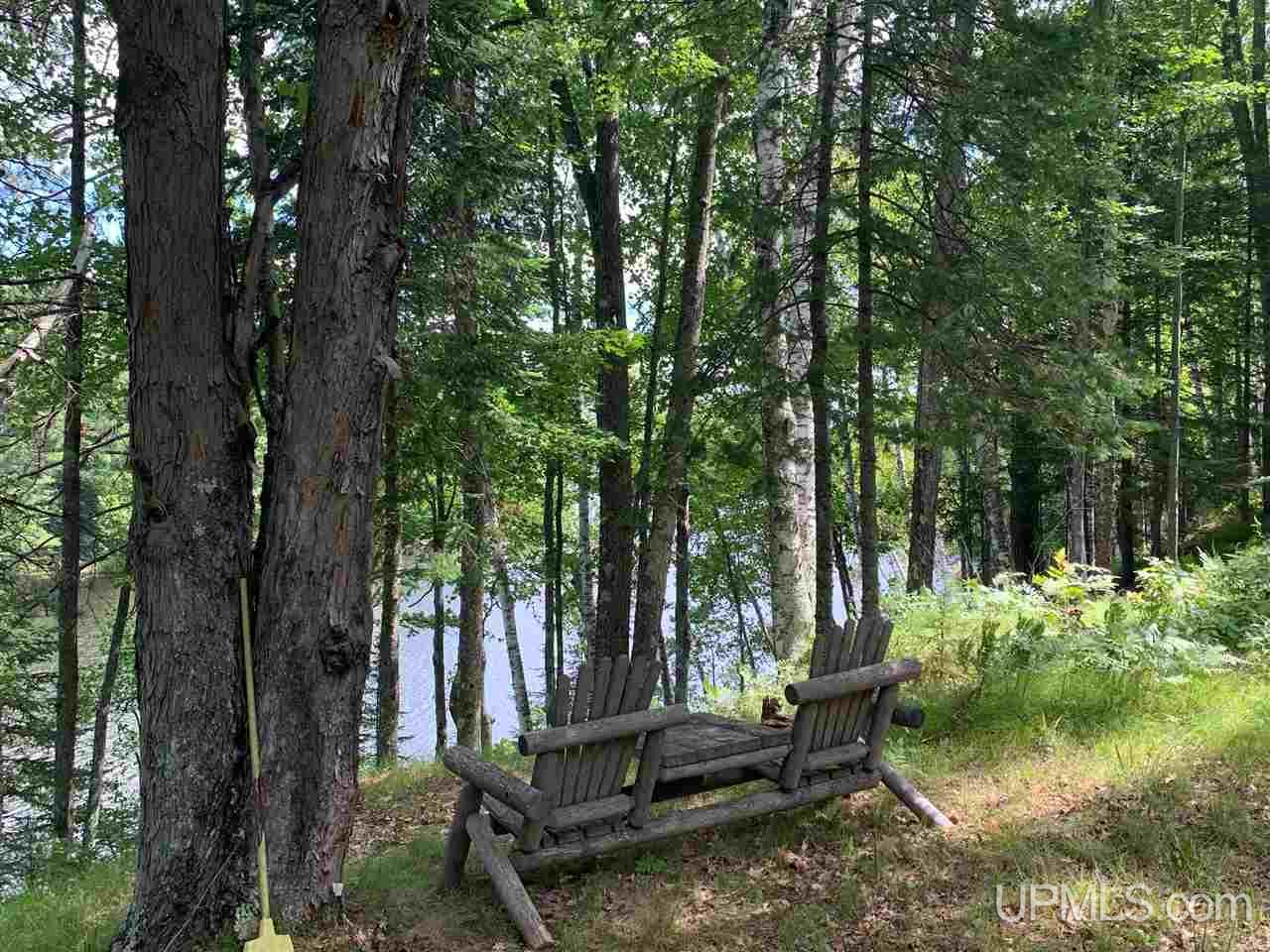 T-wi River Forest Road, Unit 10 Florence, WI 54121 - Photo 2 of 6