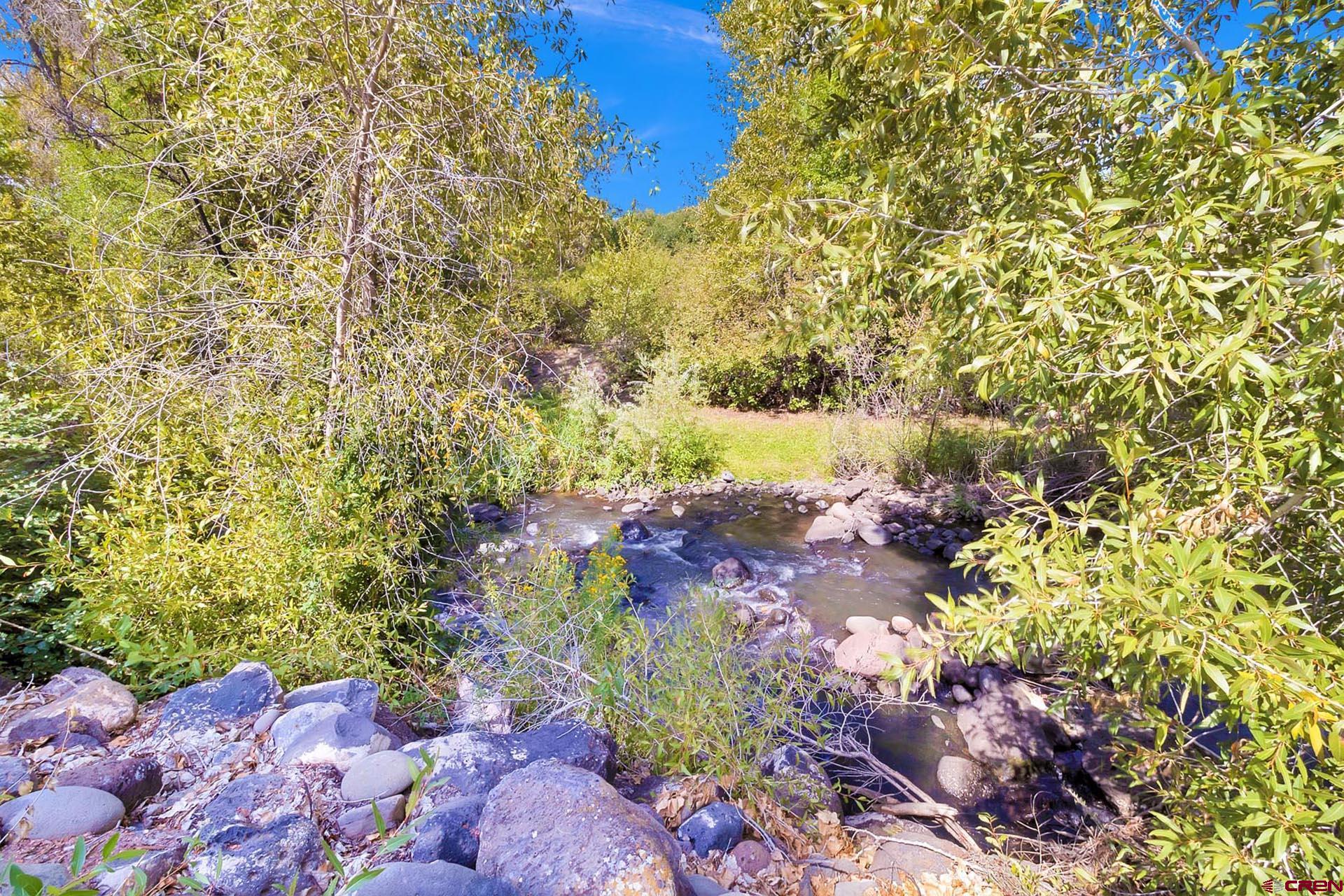 1470 Southeast Stonebridge Drive Cedaredge, CO 81413 - Photo 42 of 42 a view of a yard with plants and tree