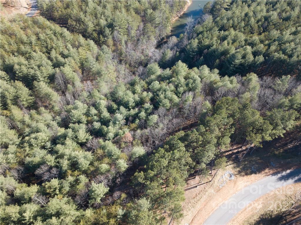 2459 Ivy Rays Way, Unit 54 Nebo, NC 28761 - Photo 14 of 15 Gallery Image 14