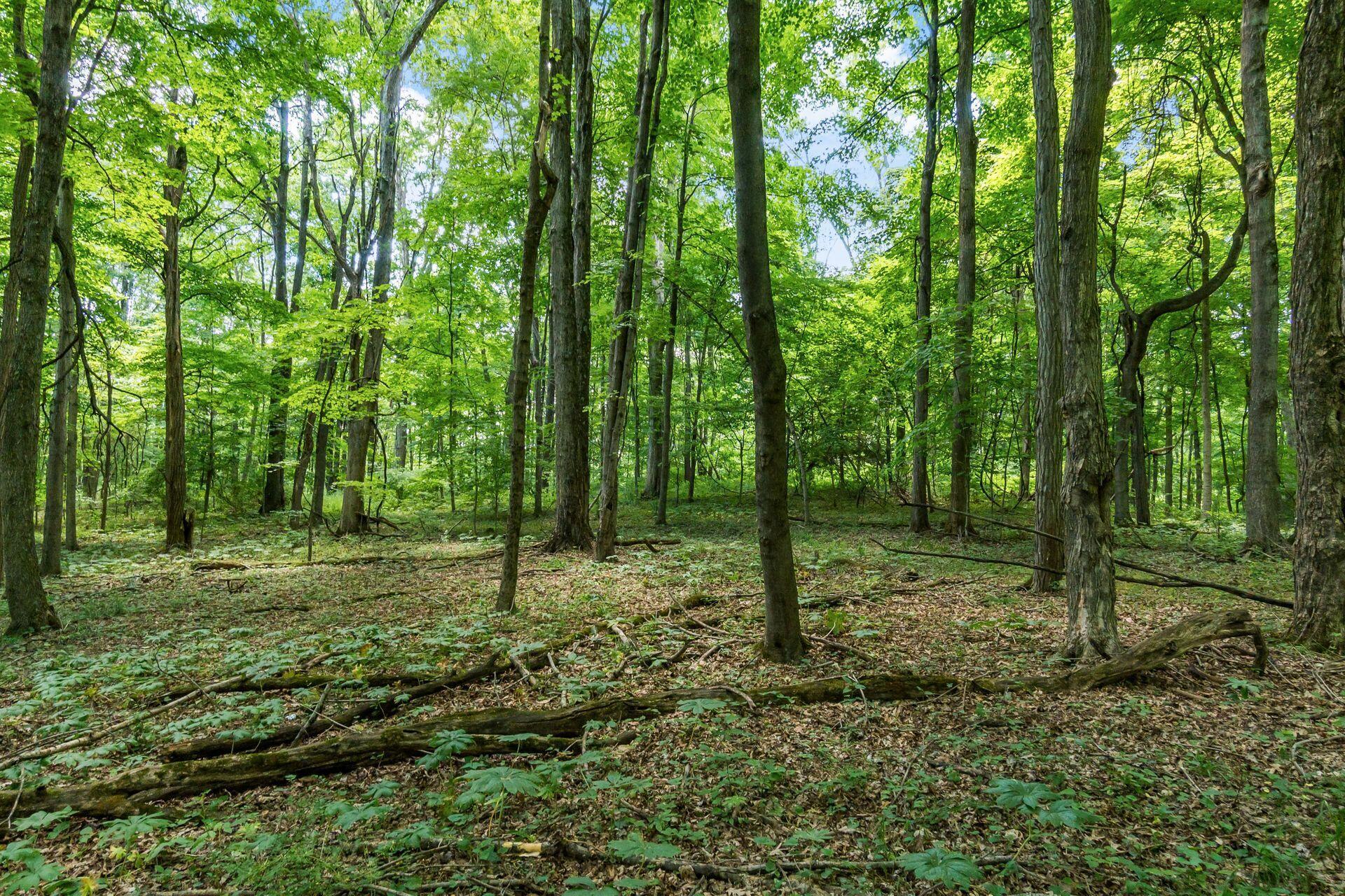 13807 Marshall Road Rockbridge, OH 43149 - Photo 23 of 33