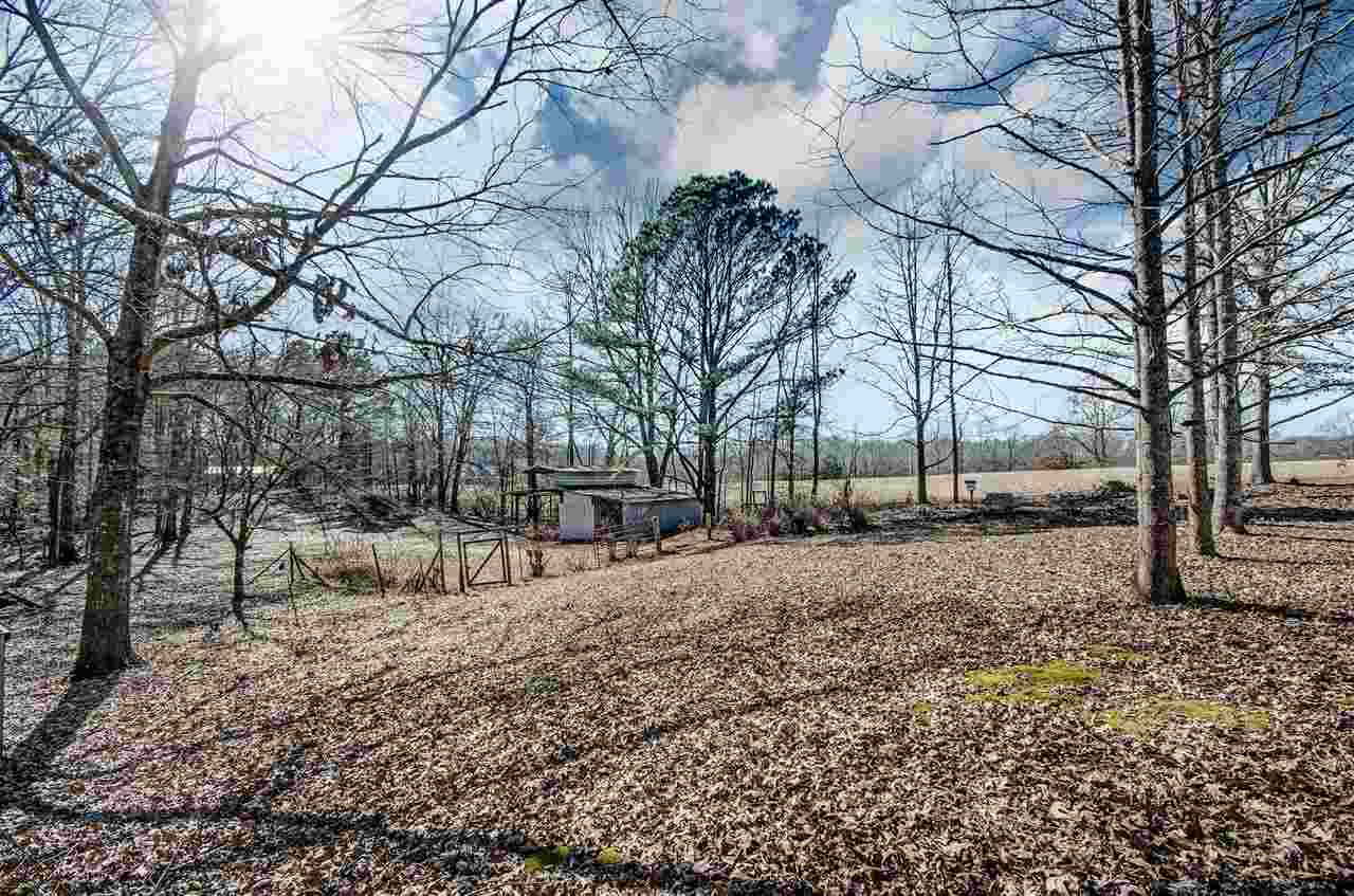 4205 Old Jackson Road Terry, MS 39170 - Photo 7 of 30 Photo 7