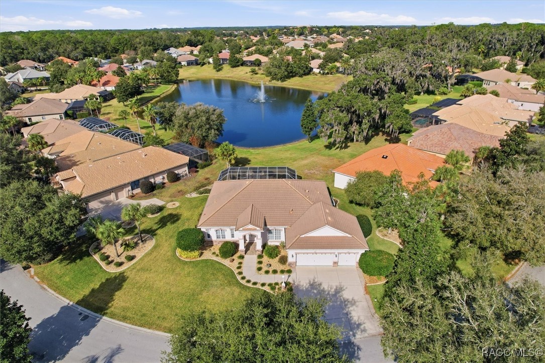 1165 West Beagle Run Loop Hernando, FL 34442 - Photo 45 of 47