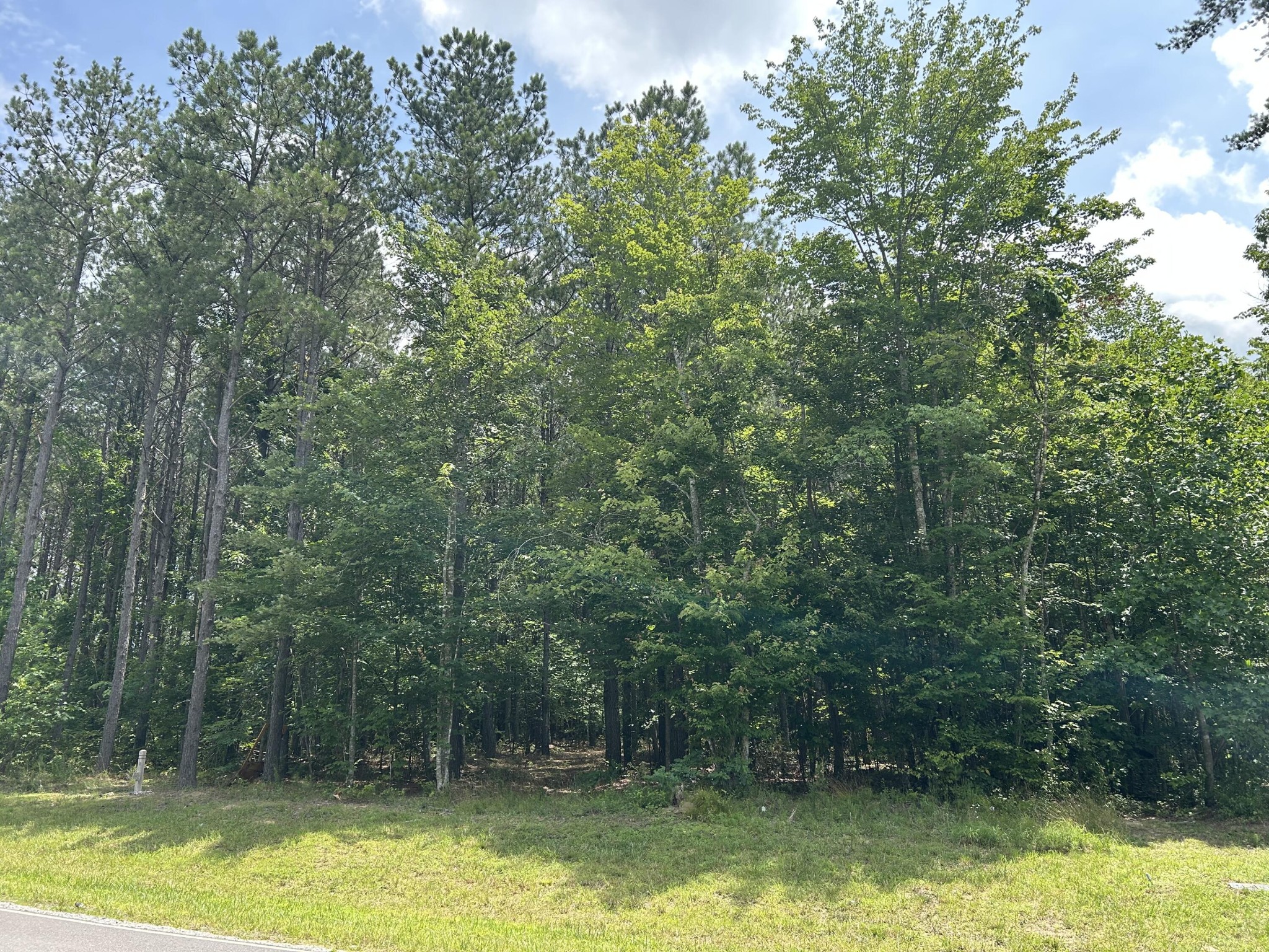 4560 Raulston Falls Drive Jasper, TN 37347 - Photo 20 of 49