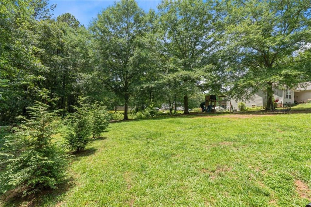 498 Raburn Road Bremen, GA 30110 - Photo 35 of 44