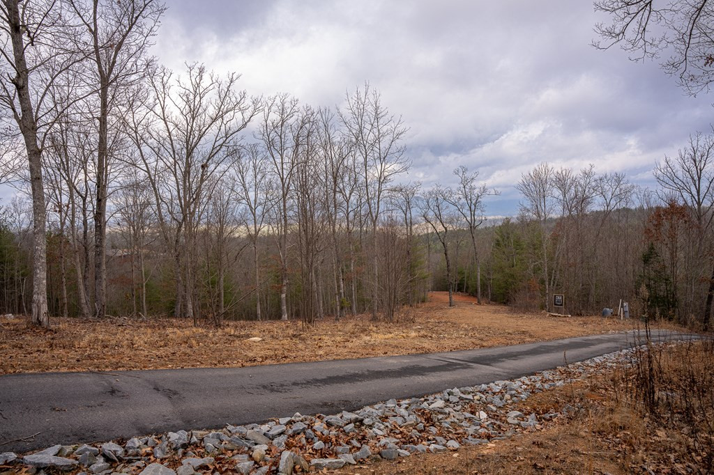 Lot 63 Lake Wood Road Murphy, NC 28906 - Photo 23 of 28