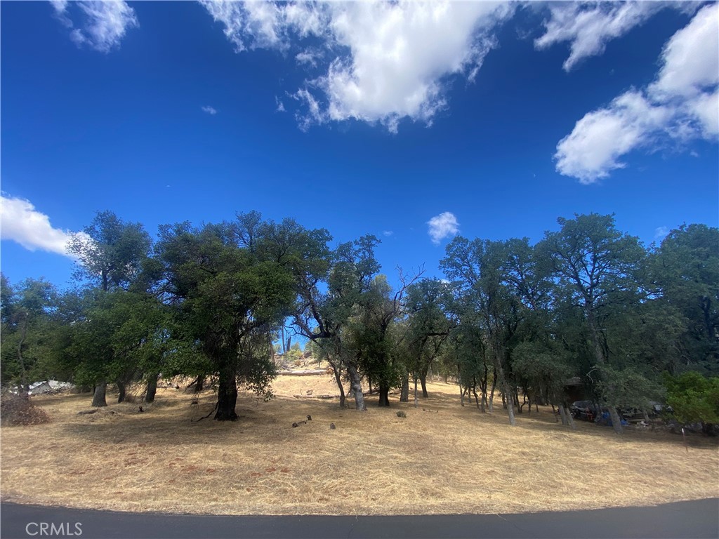 20393 Powder Horn Road Hidden Valley Lake, CA 95467 - Photo 4 of 8 a view of a yard with a house