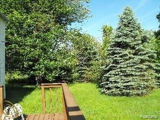 12212 Ostrander Road Maybee, MI 48159 - Photo 2 of 10 Yard
