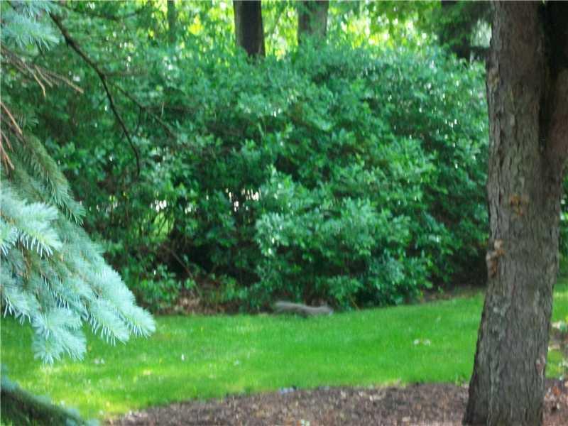 9 Grace Road Scottdale, PA 15683 - Photo 21 of 25 Land/Lot.