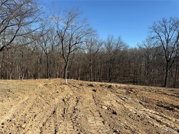 $359,000 | 17620 Highway F Bowling Green, Bowling Green, MO 63334