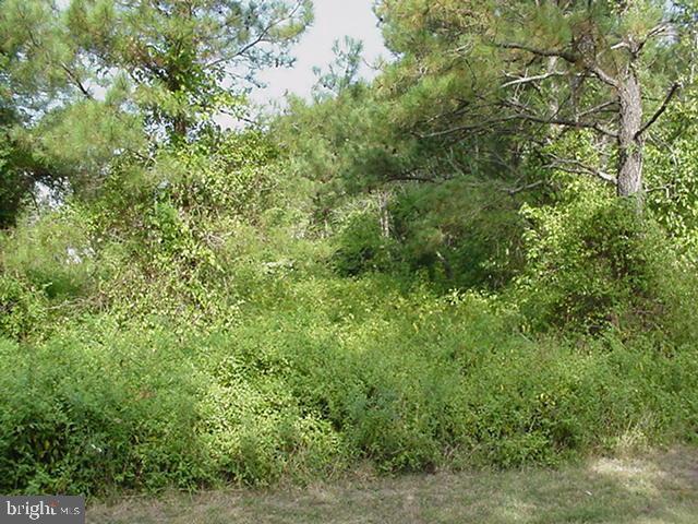 3 Rockside Road Ocean Pines, MD 21811 - Photo 2 of 7 Gallery Image 2