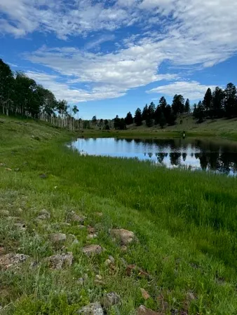 a view of a lake with houses in the back