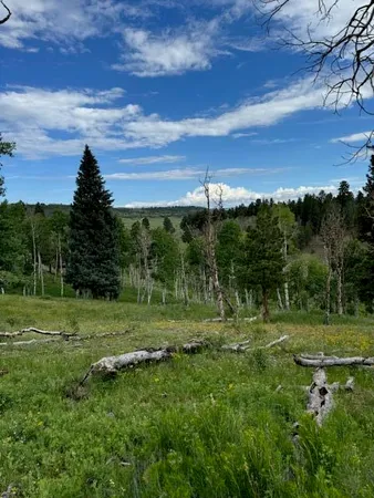 a view of outdoor space with green field and trees