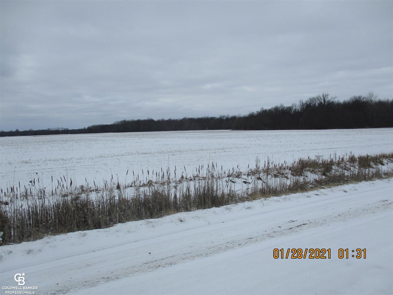 0 Place Rd Parcel E Washington, MI 48095 - Photo 4 of 5