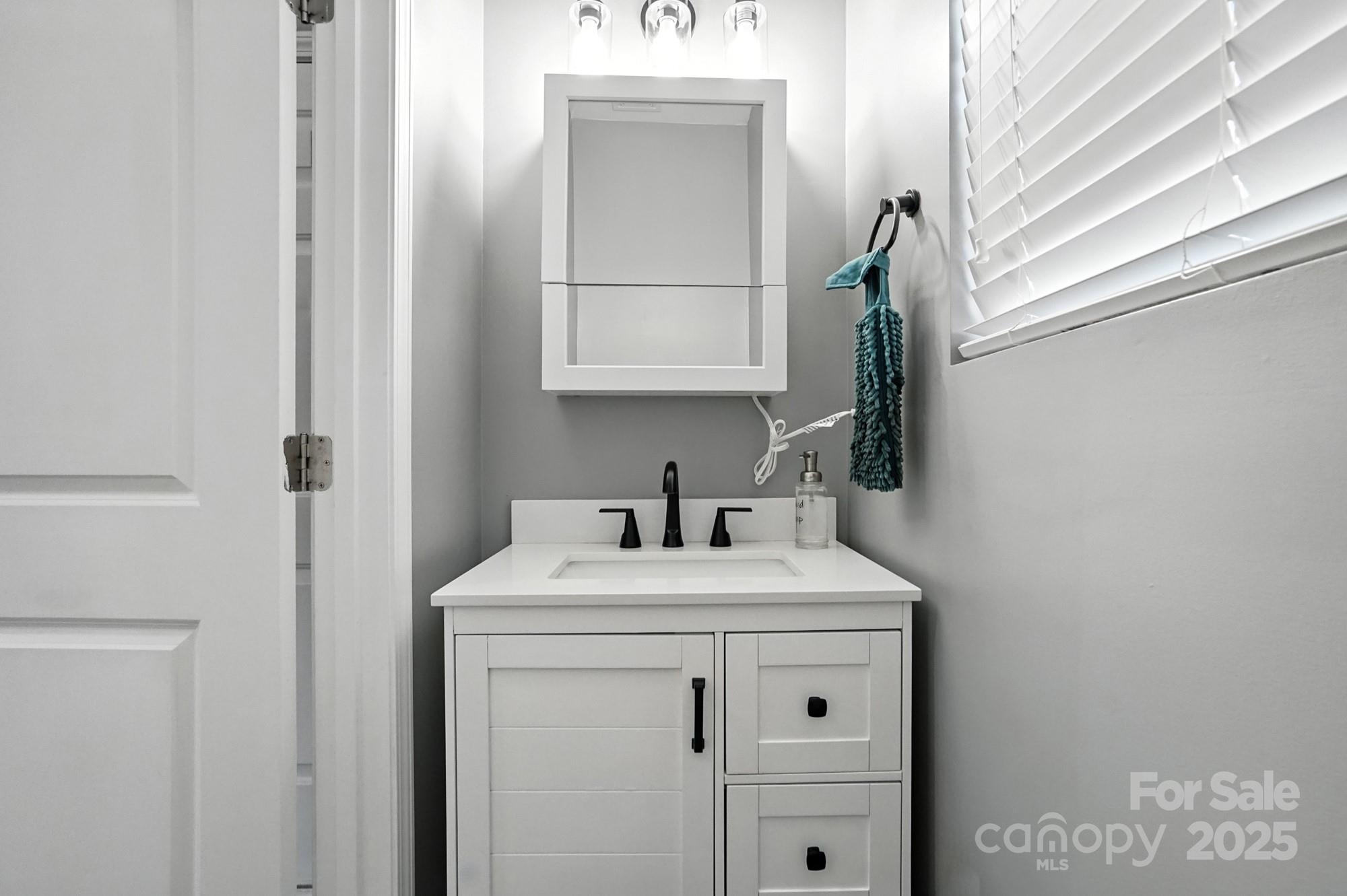 6405 Fawn Crest Drive Waxhaw, NC 28173 - Photo 17 of 38 a bathroom with a sink vanity and a mirror