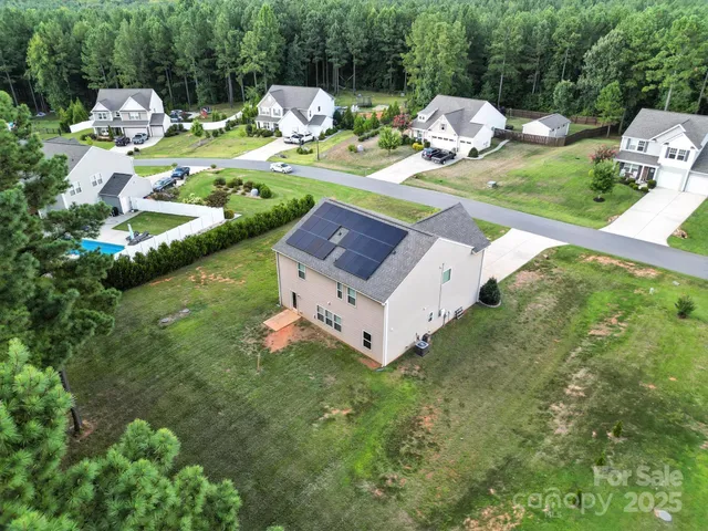 a view of a trees with a trees