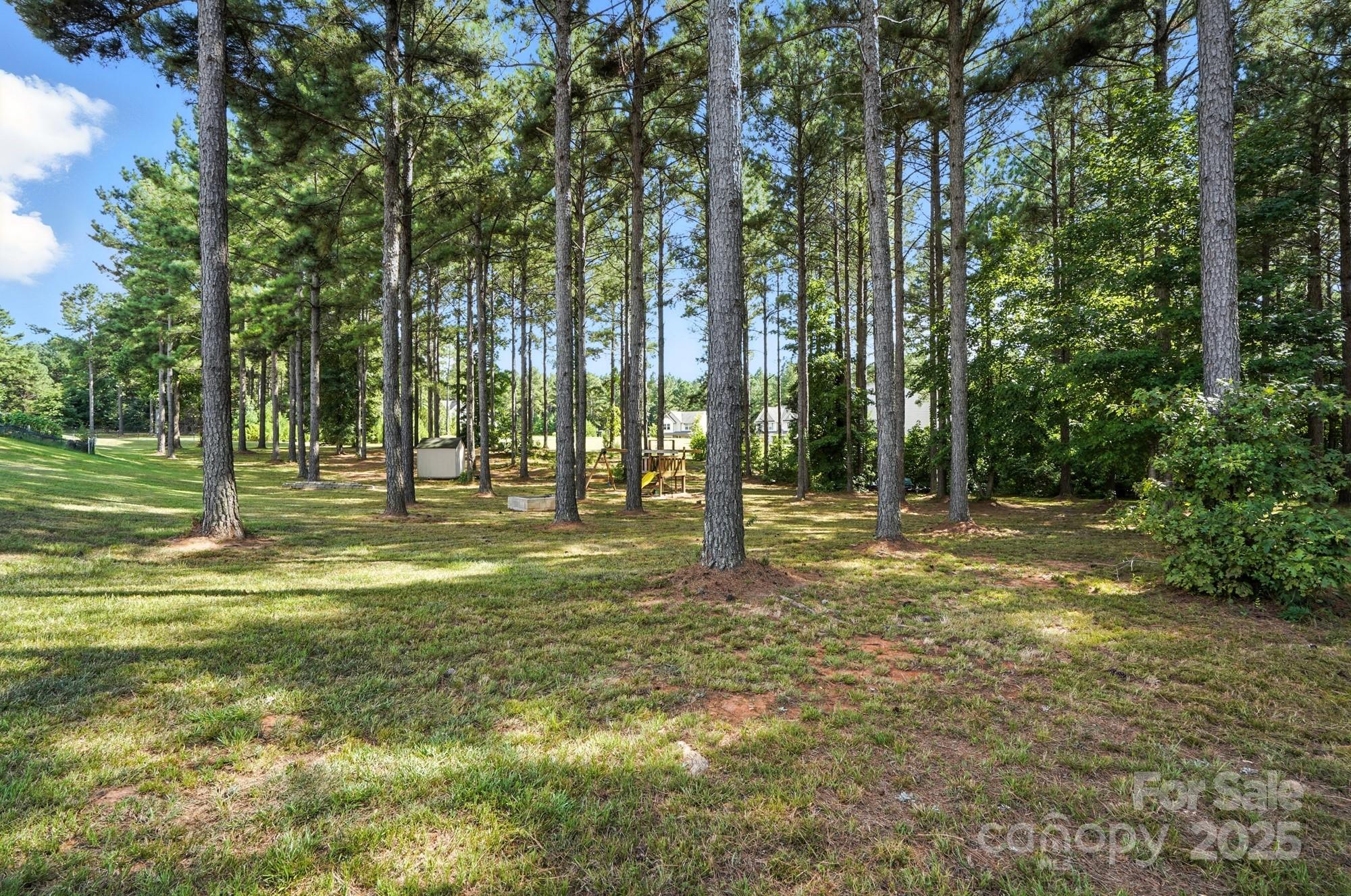 6405 Fawn Crest Drive Waxhaw, NC 28173 - Photo 36 of 38 a view of a trees with a trees