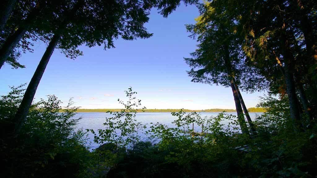 354 Sandy Beach Road Danforth, ME 04424 - Photo 11 of 43 east-grand-lake-shoreline