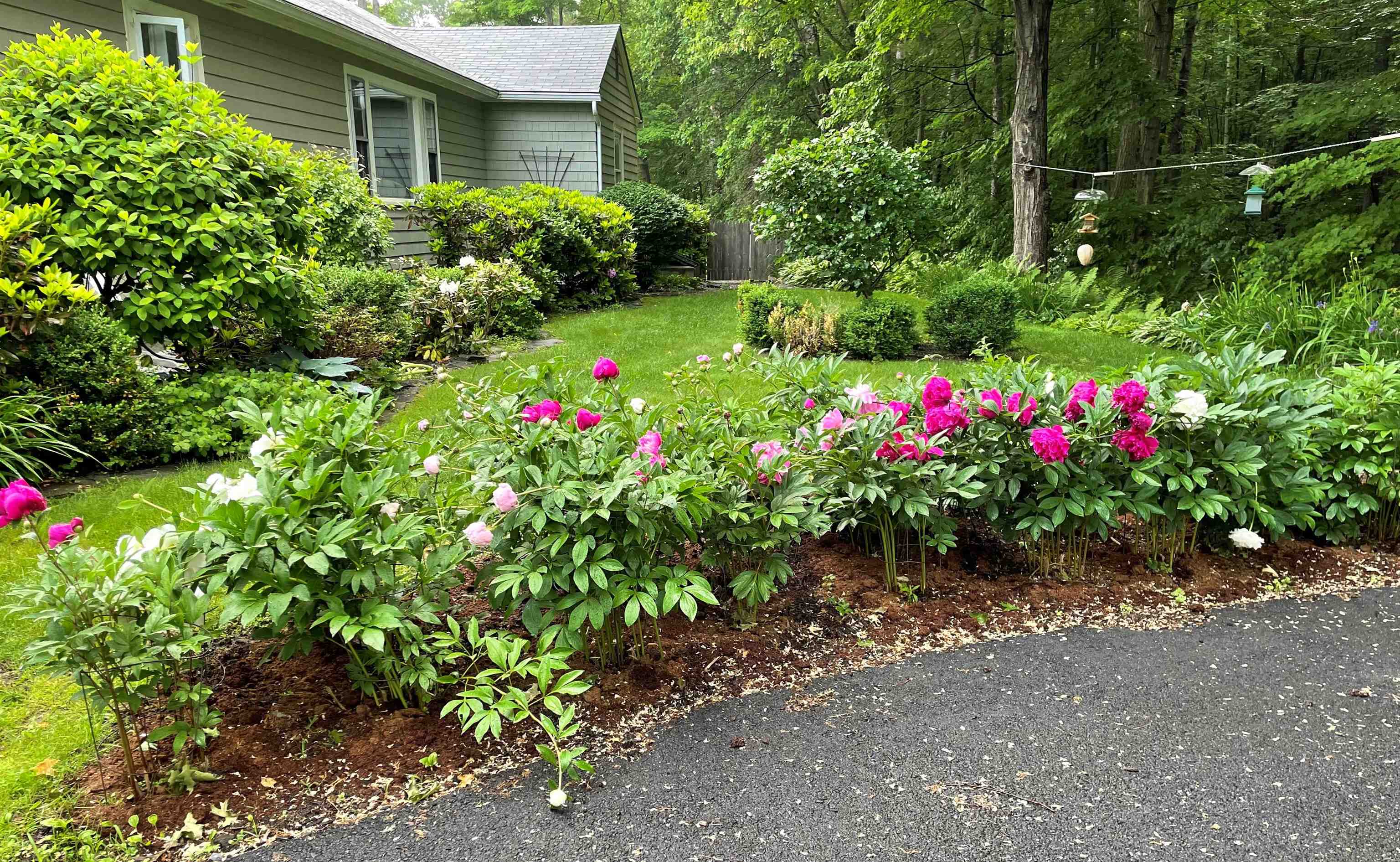 39 Prospect Street Lebanon, NH 03766 - Photo 37 of 37