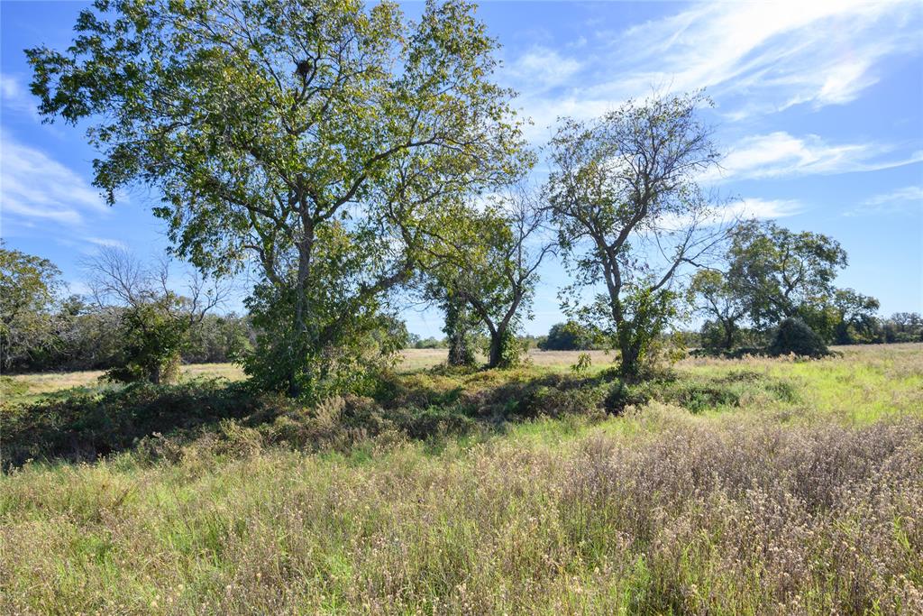 Tbd Ward Mt Road Santo, TX 76472 - Photo 8 of 11 a view of a lush green space