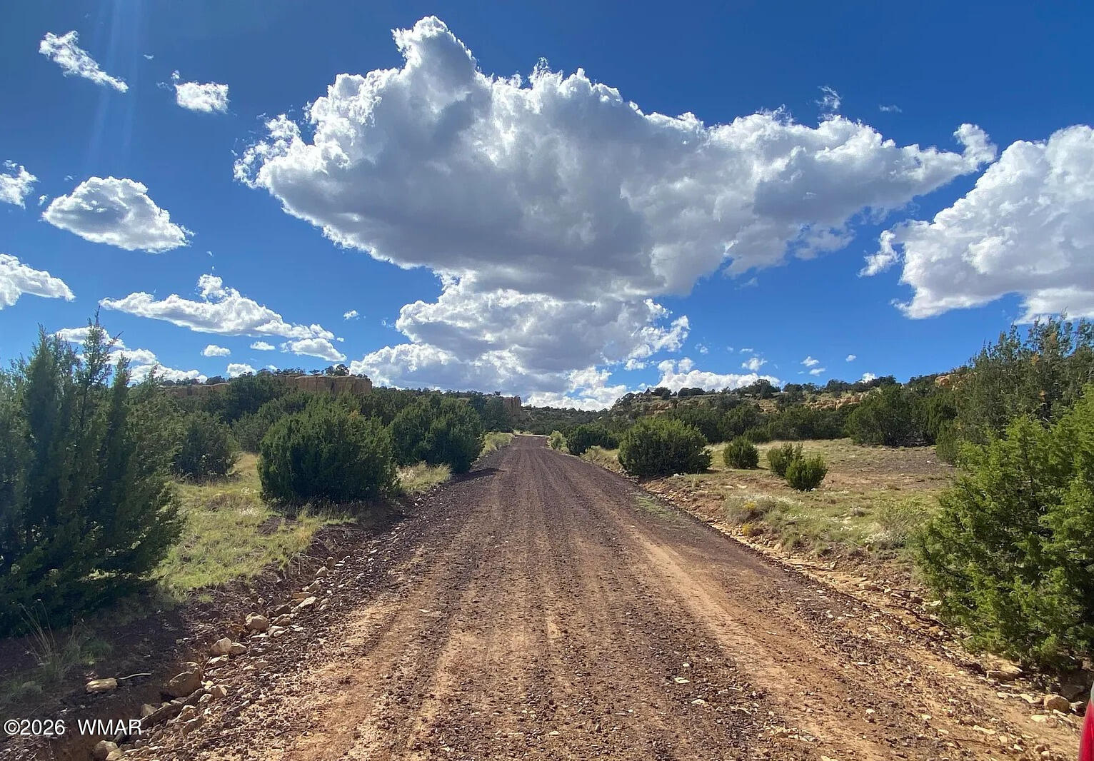 0 Vernon Concho, AZ 85924 - Photo 5 of 10