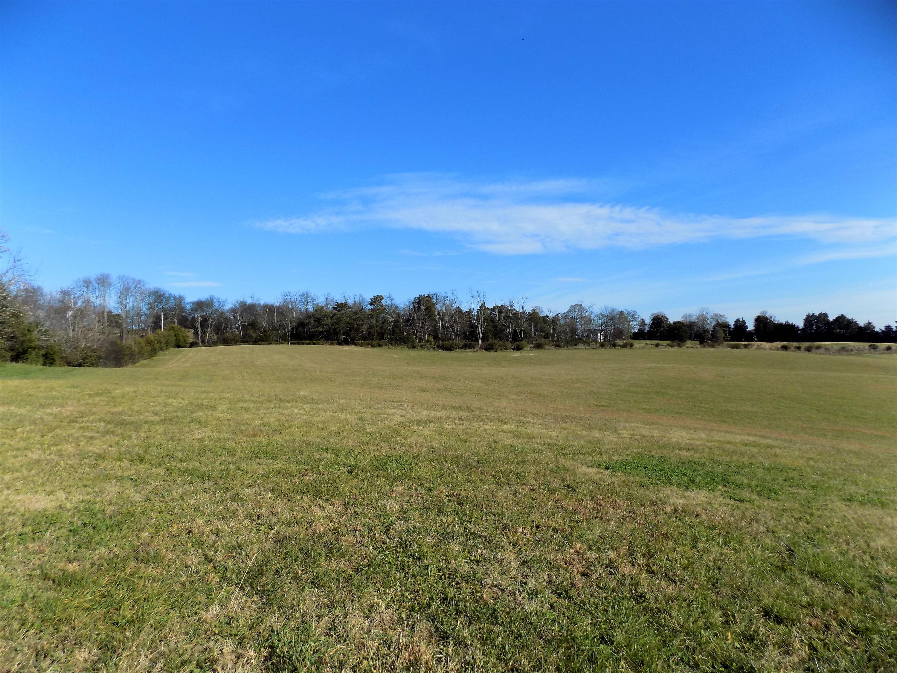 Lot #9 Palace Road Jefferson City, TN 37760 - Photo 14 of 31 Country Setting