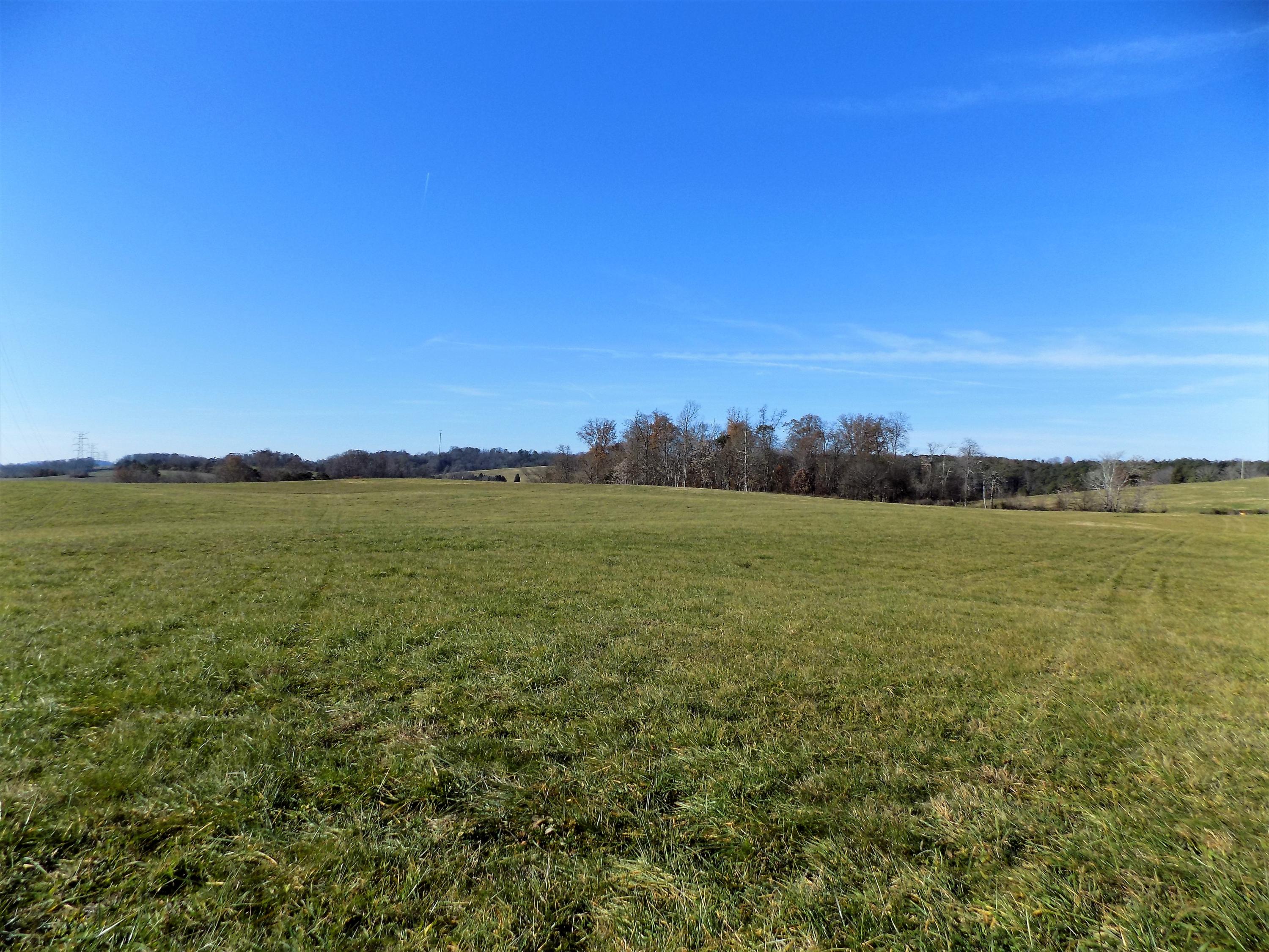 Lot #9 Palace Road Jefferson City, TN 37760 - Photo 15 of 31 Country Setting